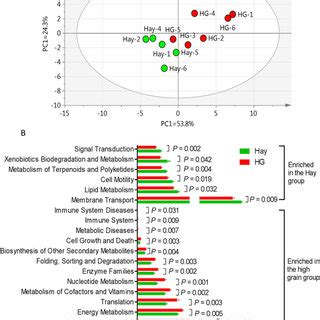 Functional Diversity Of The Bacterial Microbiota Of Colonic Mucosa