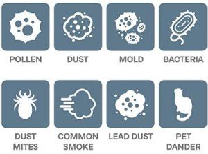 HEPA Filter Types + Mechanisms Of HEPA Filter Filtration