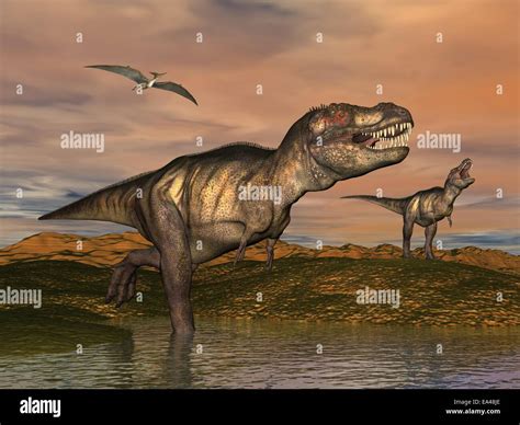 Tyrannosaurus Rex Dinosaurios 3d Render Fotografía De Stock Alamy