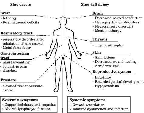 Zinc Deficiency Skin