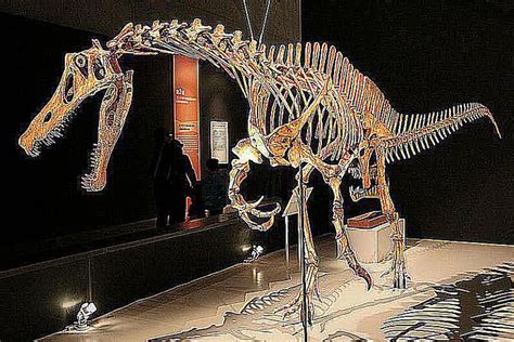 The 10 Types of Dinosaur Bones Studied by Paleontologists