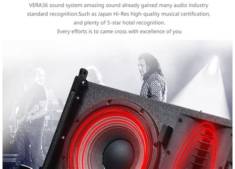 Vera Dual Inch Line Array Skytone Audio