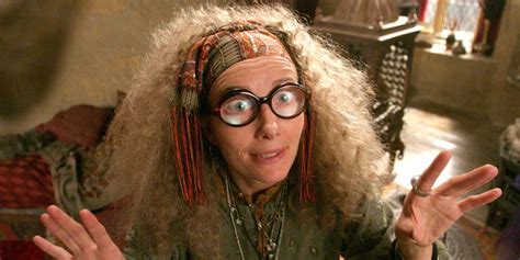 Harry Potter Should've Taken Professor Trelawney's Prophecies Seriously