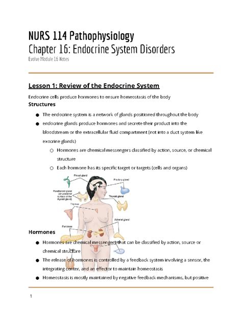 Nurs Evolve Notes Chapter Endocrine System Disorders Nurs