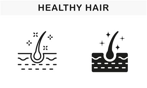 Healthy Human Follicle Shine Line And Silhouette Black Icon Set Glossy