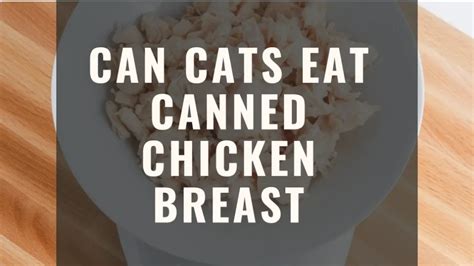 Canned Chicken Breast For Cats A Delectable Delight Or Nutritional