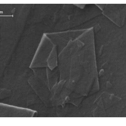 Graphene nanosheets as viewed under a scanning electron microscope ...