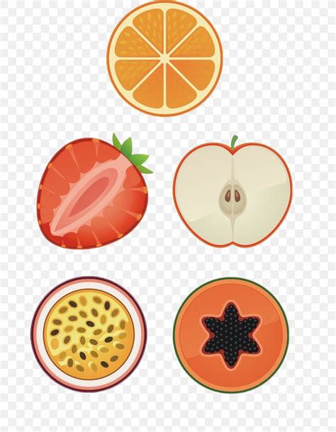 Fruit Orange Clip Art, PNG, 671x1054px, Fruit, Apple, Citrus, Cup, Food ...