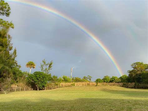 The Rainbow Bridge, Animals in Transition - Joan Ranquet