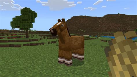 What Do Horses Eat In Minecraft Prima Games