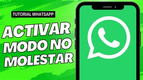 C Mo Desconectar Whatsapp Sin Apagar Internet Modo No Molestar Youtube