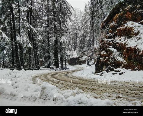 Winding road forest hi-res stock photography and images - Alamy