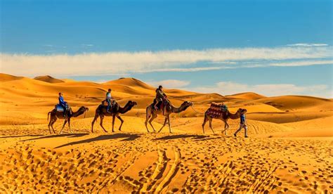 The Best Marrakech Desert Tours & Camel Treks | Book Now