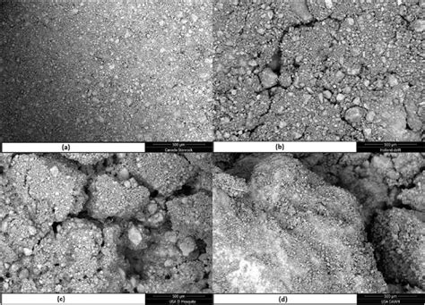 Sem Micro Graphs Of Uoc Samples Belonging To The Yellow Group A