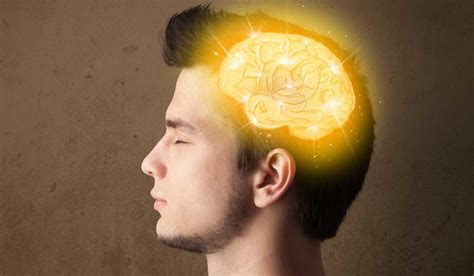 Mitos Y Verdades Sobre El Cerebro Adolescente