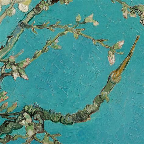 Almond Blossom Tree Van Gogh