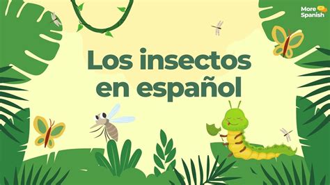 Insects L Los Insectos En Espa Ol Aprender Espa Ol Youtube