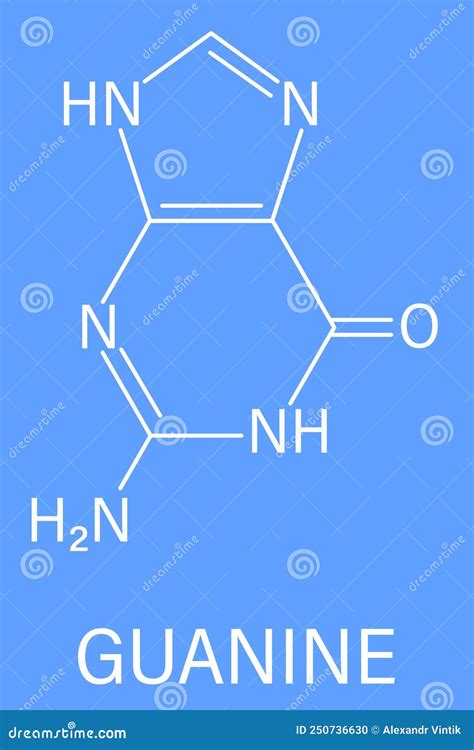 Guanine G Purine Nucleobase Molecule Base Present In DNA And RNA