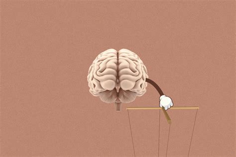 Human Brain Animation 