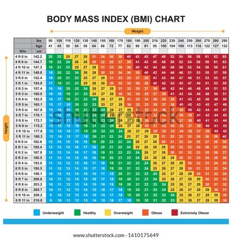 873 Bmi Chart Images Stock Photos And Vectors Shutterstock