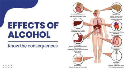 What Are The Effects Of Alcohol On The Body