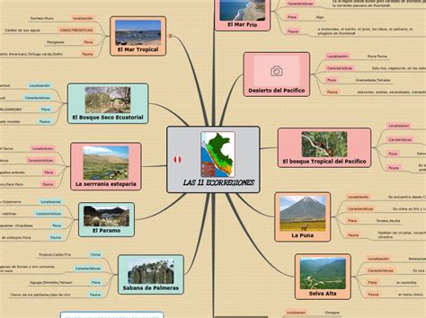 LAS 11 ECORREGIONES Mind Map