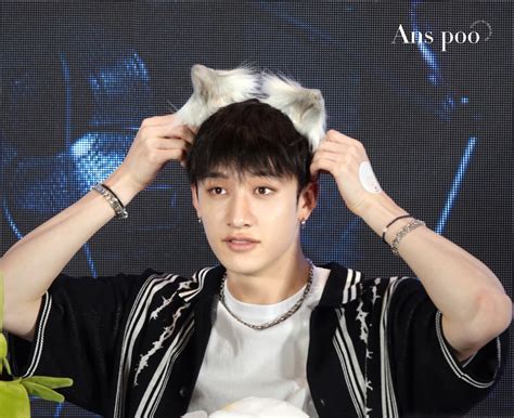 bangchan stay  tumblr