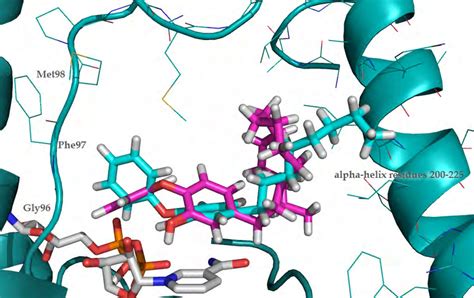 The Predicted Binding Modes Of Compound Pink And The X Ray Binding