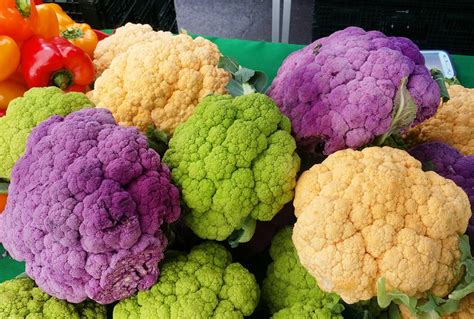 50 Cauliflower Mix Seeds Heirloom Non Gmo Purple Green Yellow Etsy