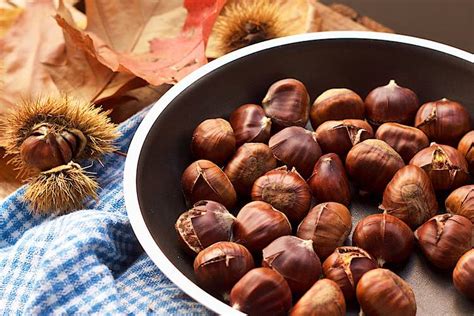 How To Roast Chestnuts At Home The Tasty Chilli