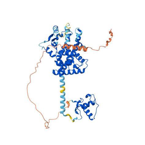 RCSB PDB AF AFP37230F1 Computed Structure Model Of Peroxisome