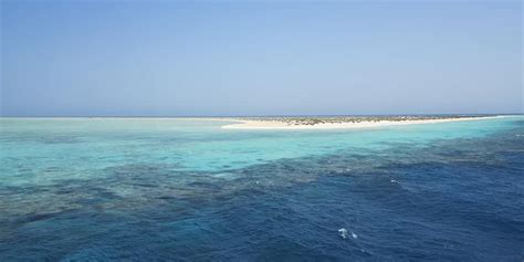 Snorkeling Tour At Hamata Qulaan Islands From Marsa Alam