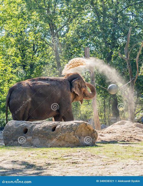 Berlin Zoo in Germany is One of the Oldest Zoo of the Europe. Happy
