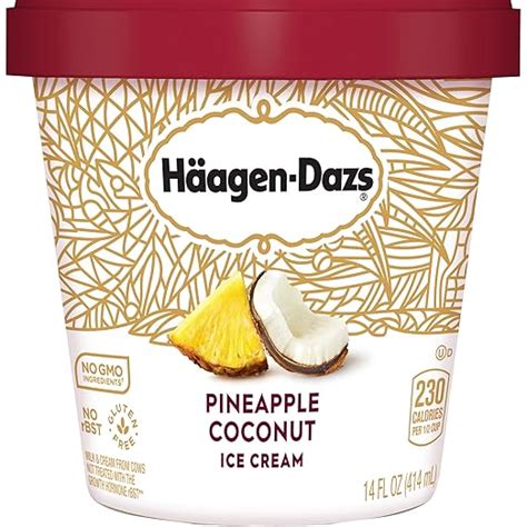 Amazon Haagen Dazs Pineapple Coconut Ice Cream 14 Oz Frozen