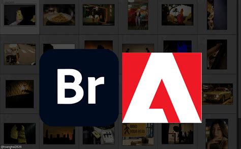 5 Outstanding Features Of Adobe Bridge You Need To Know