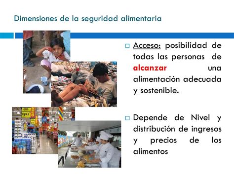 Seguridad Alimentaria Y Nutricional San Ppt Descargar