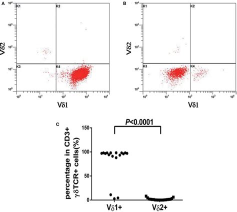 Vδ1 And Vδ2 Expression Patterns Of γδt Cells From Patients With γδ Tcl Download Scientific