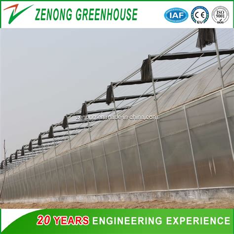 Smart Multi Span Tunnel Arch Type Pe Po Film Plastic Agricultural