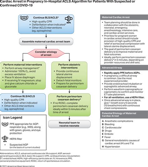 Aha Cpr Algorithm 2022