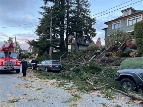 Windstorm causes 330,000 households to lose power in southwest B.C ...