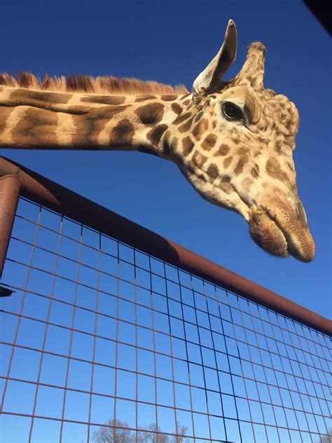 Rowan County, US Vacation Rentals: house rentals & more | Vrbo