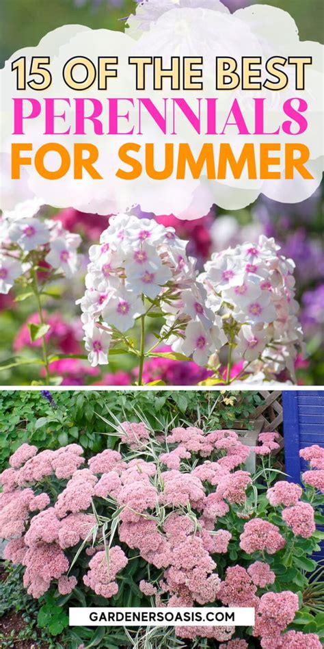 Long Blooming Perennials That Will Fill Your Garden With Flowers