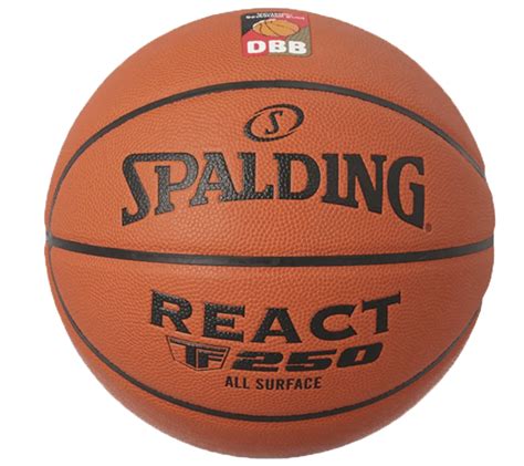 SPALDING REACT TF 250 Basketball Size 6 Sports Equipment With DBB Logo