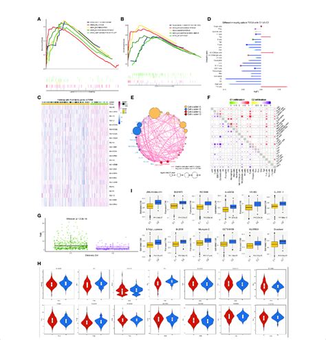 Signaling Pathways Antitumor Immunity And Drug Sensitivity In Two