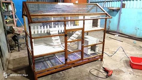 WOODEN Rabbit Cage at Rs 14499 | Chennai | ID: 27110355730