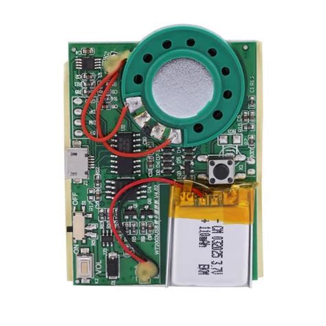 WER Carte de voeux vocale DIY Facile à enregistrer Vocal Module d