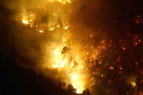 Lombardia Flagellata Dagli Incendi La Regione Chiede Lo Stato Di