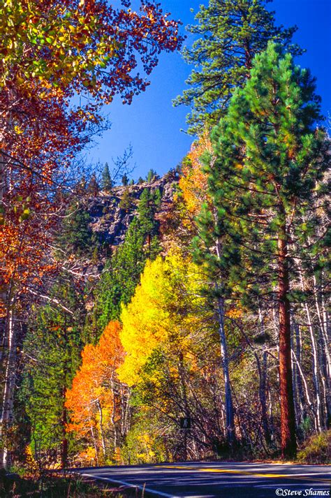 Mountain Road Colors | Along Highway 89, California | Steve Shames ...