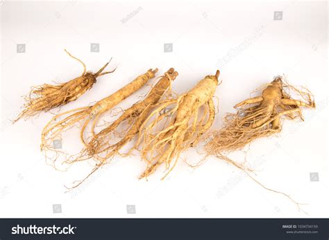 12 Ginseng Wurzel Stock Photos Images Photography Shutterstock