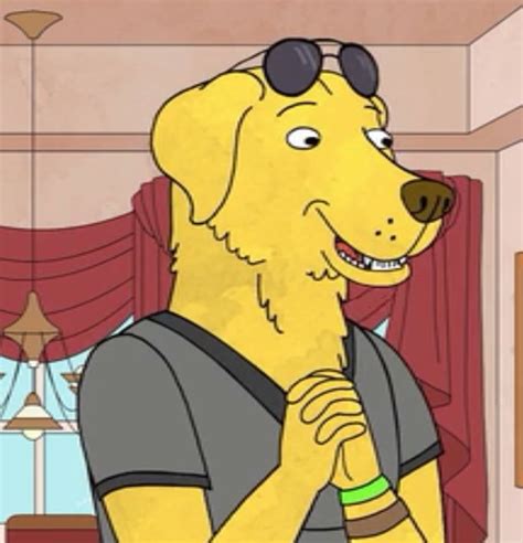 Mr Peanutbutter Bojack Horseman Wiki